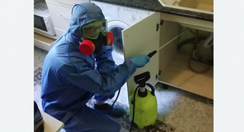 Уничтожение муравьев в квартире. Кулебаки