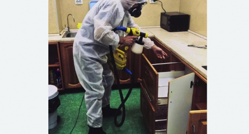 Уничтожение насекомых в квартире. Кулебаки