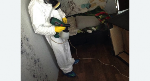 Обработка квартир от насекомых в Кулебаках