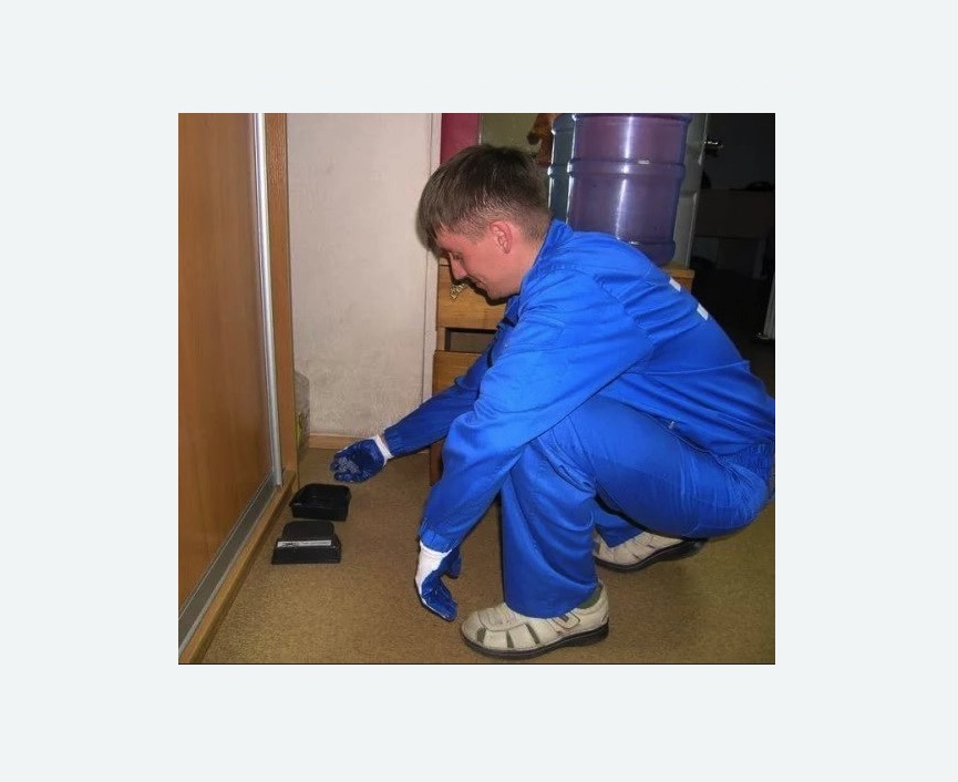 Дератизация крыс в Кулебаках