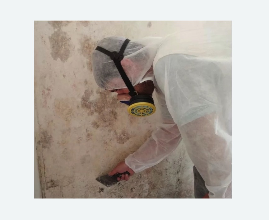 Обработка стен от плесени Обработка стен от плесени в Кулебаках