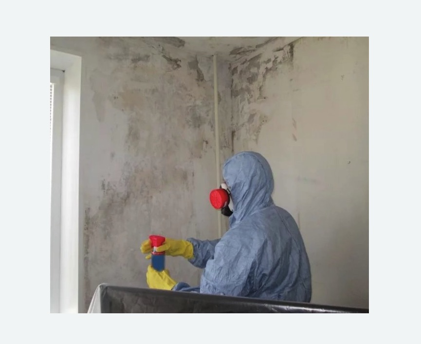 Удаление плесени в квартире Удаление плесени в квартире в Кулебаках