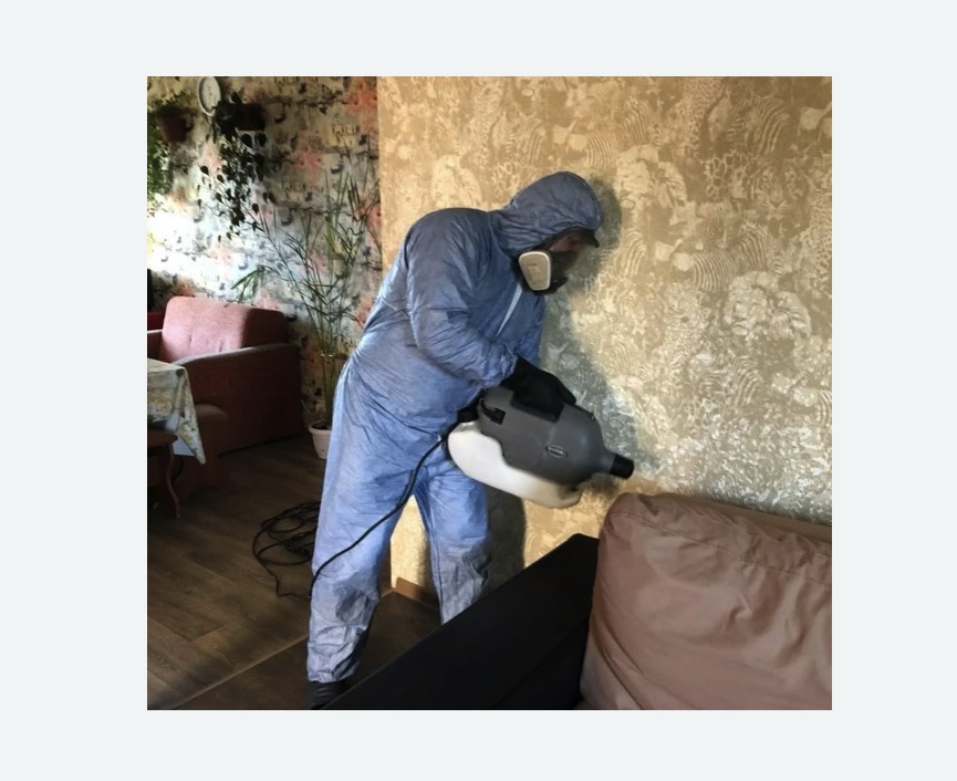 Уничтожение блох в квартире. Кулебаки Уничтожение блох в квартире