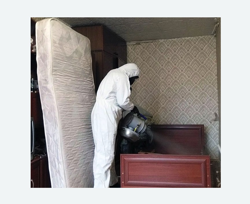 дезинфекция от клопов в Кулебаках