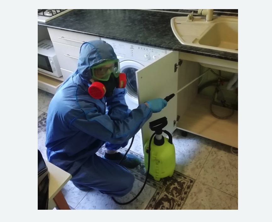 обработка от муравьев в квартире обработка от муравьев в квартире в Кулебаках