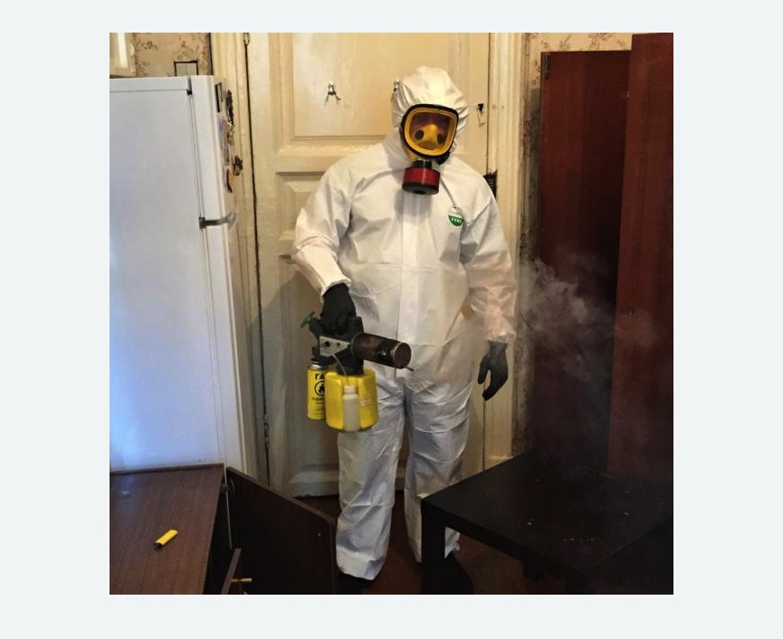 уничтожение муравьев в квартире уничтожение муравьев в квартире в Кулебаках